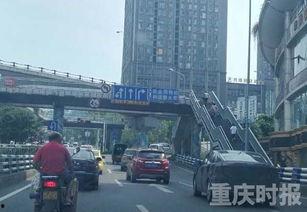 重庆市民爆料最新,神秘事件引发热议,真相究竟如何?