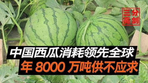 长春最新吃瓜事件爆料是真的吗,真相揭秘还是网络谣言?  第3张 长春最新吃瓜事件爆料是真的吗,真相揭秘还是网络谣言?  第3张
