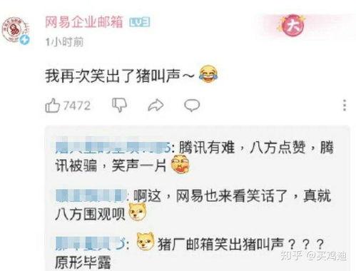 qq免费吃瓜扫一扫图片最新2024,扫一扫图片解锁新福利!