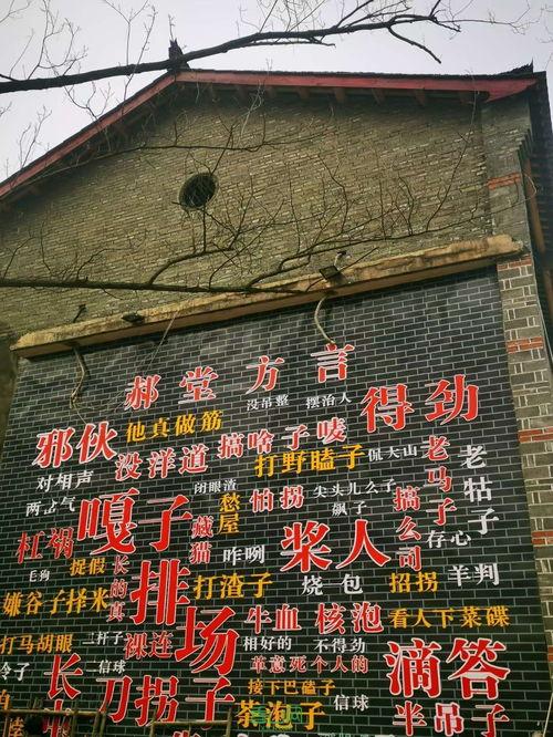 西善堂村爆料案件最新,真相渐露,疑云重重  第1张 西善堂村爆料案件最新,真相渐露,疑云重重  第1张