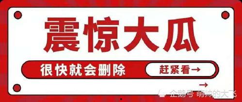 吃瓜娱乐有限公司,揭秘娱乐圈幕后故事,带你领略娱乐产业魅力  第2张 吃瓜娱乐有限公司,揭秘娱乐圈幕后故事,带你领略娱乐产业魅力  第2张