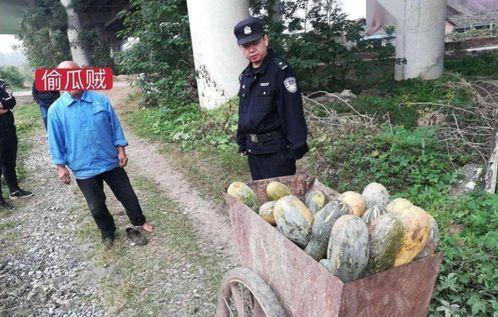 汾阳吃瓜最新事件爆料视频,最新爆料视频揭秘惊人内幕  第3张 汾阳吃瓜最新事件爆料视频,最新爆料视频揭秘惊人内幕  第3张
