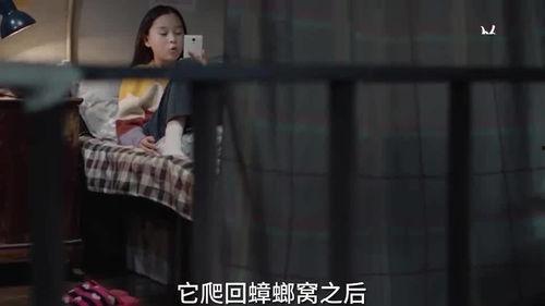 印度小姐姐爆料视频播放,爆款视频背后的真实故事  第2张 印度小姐姐爆料视频播放,爆款视频背后的真实故事  第2张