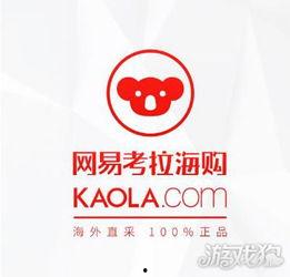 网易考拉最新爆料,揭秘跨境电商新动态与趋势  第2张 网易考拉最新爆料,揭秘跨境电商新动态与趋势  第2张