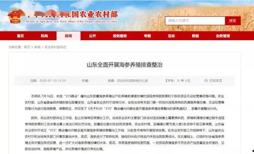 海参养殖爆料视频,揭秘幕后爆料视频背后的真相  第3张 海参养殖爆料视频,揭秘幕后爆料视频背后的真相  第3张